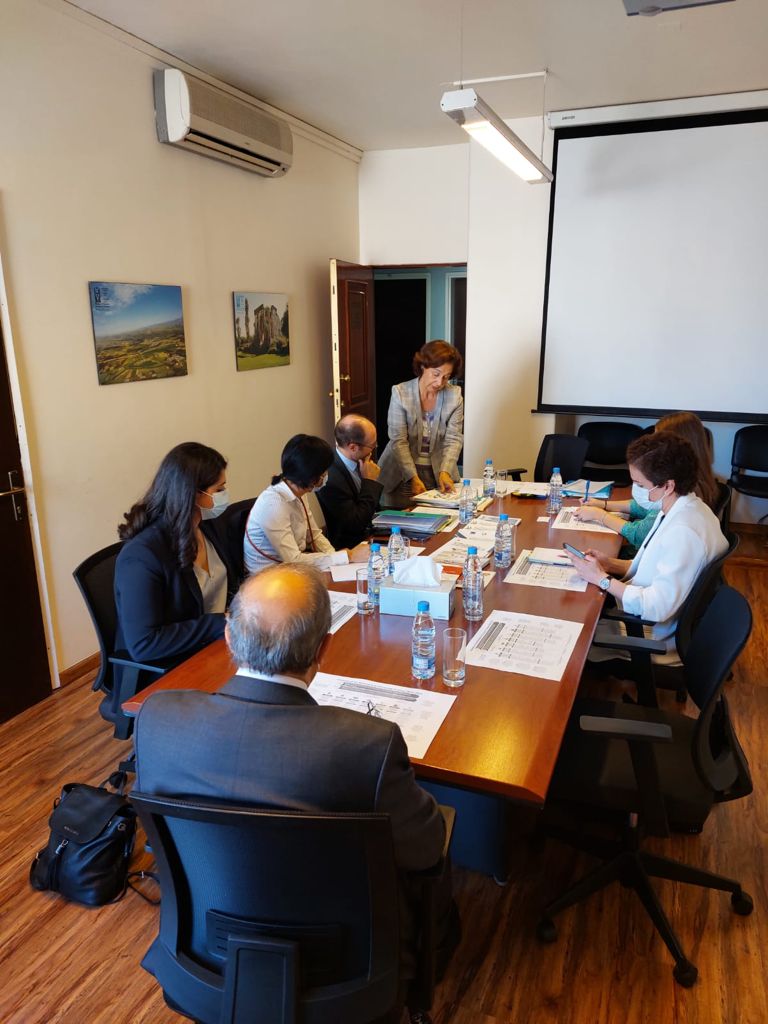 Minister Riachi meets the UN Special Rapporteur on extreme poverty and ...